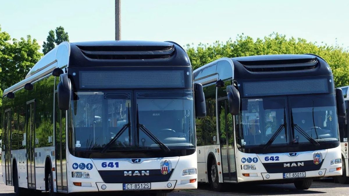 Od  1 marca 2027 roku liczba linii w Toruniu zmieni się z 60 na 49. Ma to zapewnić częstsze i bardziej bezpośrednie kursy.
