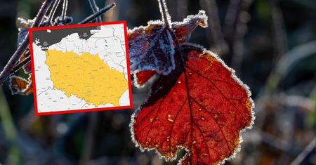 Nie tylko przymrozki. Wydano ostrzeżenia, nowa prognoza