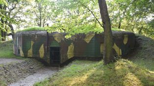To najstarszy park w Świętochłowicach. Nazwa z Holandii, rozstrzelanie, schron i "piaśnicki pałacyk". Poznajcie historię Heiloo