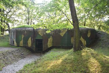 To najstarszy park w Świętochłowicach. Nazwa z Holandii, rozstrzelanie, schron i "piaśnicki pałacyk". Poznajcie historię Heiloo
