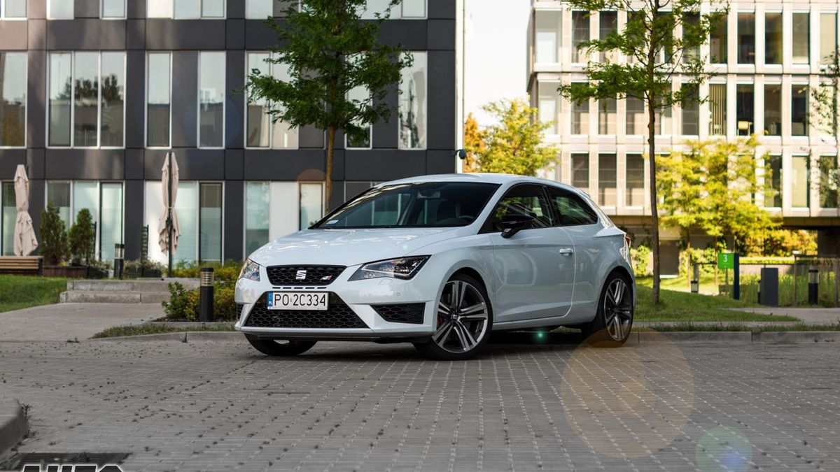 Zdjęcie ilustracyjne do artykułu