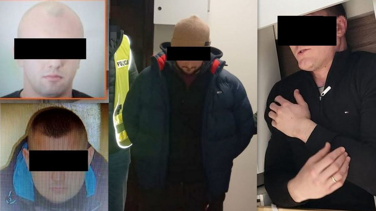 policja