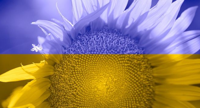 Co piąty Polak potrzebował pomocy psychologa w związku z wojną w Ukrainie