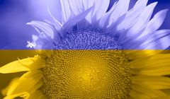 Co piąty Polak potrzebował pomocy psychologa w związku z wojną w Ukrainie