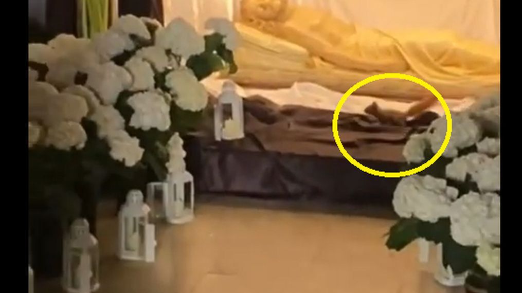 Nietypowy gość w kościele w Wyszynie