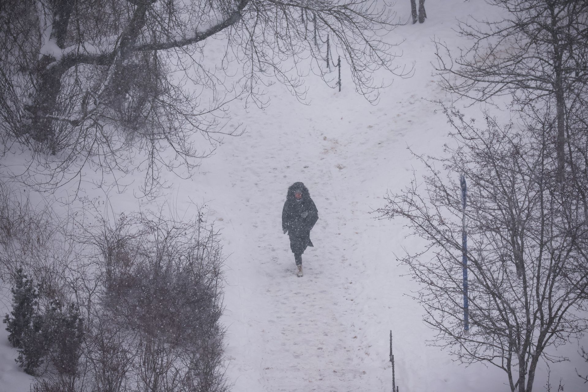 Silna śnieżyca nadciąga nad Polskę. Oto prognozy IMGW