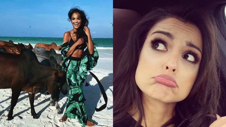 Klaudia El Dursi zaatakowana przez krowę podczas walki o idealne zdjęcie