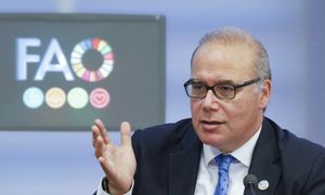 Agencja przy ONZ: dłuższa wojna z Iranem może podbić ceny żywności na świecie