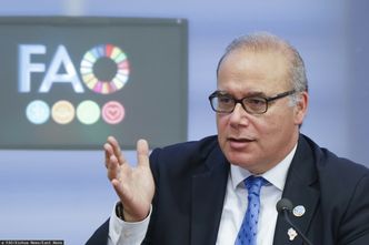 Agencja przy ONZ: dłuższa wojna z Iranem może podbić ceny żywności na świecie