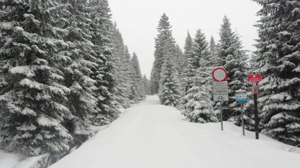 W Karkonoszach zawitała zima