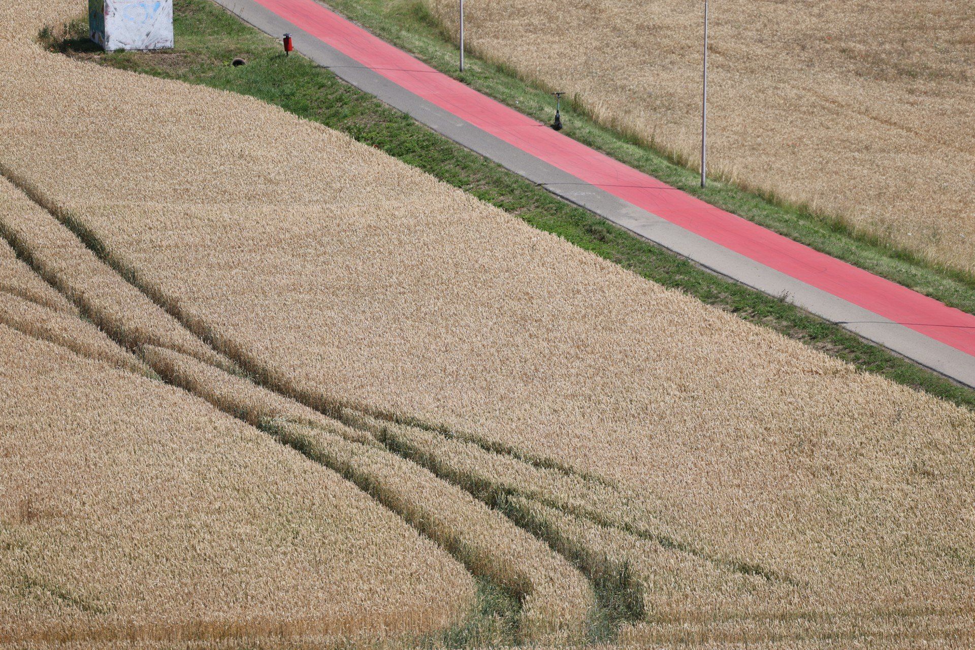 Widok, który zapiera dech. Panorama z Kopca Wyzwolenia w Piekarach Śląskich zachwyca o każdej porze roku