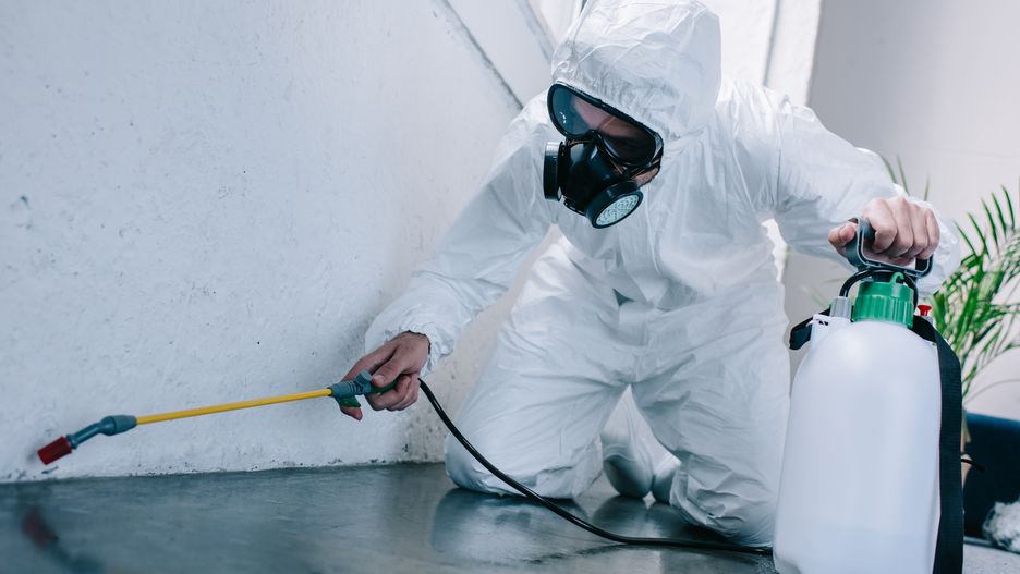 pest control worker spraying pesticides on floor at home
equipment,person,one,adult,people,male,protection,care,man,service,toxic,home,working,work,job,protective,indoors,floor,chemical,safety,profession,alone,apartment,spraying,uniform,worker,sprayer,workwear,insecticide,prevention,respirator,pesticides,exterminator,professional occupation,copy space,selective focus,pest exterminator,pest control,pest control worker, equipment, person, one, adult, people, male, protection, care, man, service, toxic, home, working, work, job, protective, indoors, floor, chemical, safety, profession, alone, apartment, spraying, uniform, worker, sprayer, workwear, insecticide, prevention, respirator, pesticides, exterminator, professional occupation, copy space, selective focus, pest exterminator, pest control, pest control worker