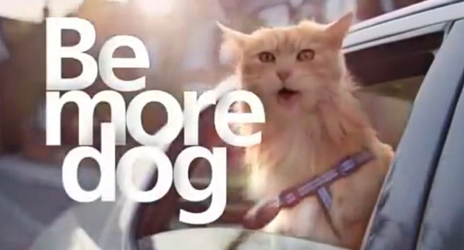 Zagraniczny wyciąg reklam: O2, Guiness, MetLife i „The Guardian” (wideo)