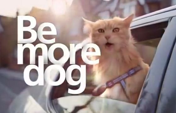 Zagraniczny wyciąg reklam: O2, Guiness, MetLife i „The Guardian” (wideo)