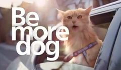 Zagraniczny wyciąg reklam: O2, Guiness, MetLife i „The Guardian” (wideo)