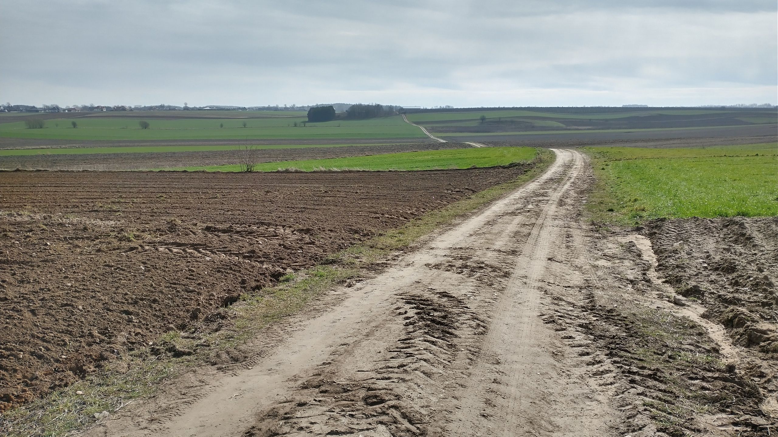 Motorola Moto G8 Power po dwóch dniach testów. Jest solidnie 18