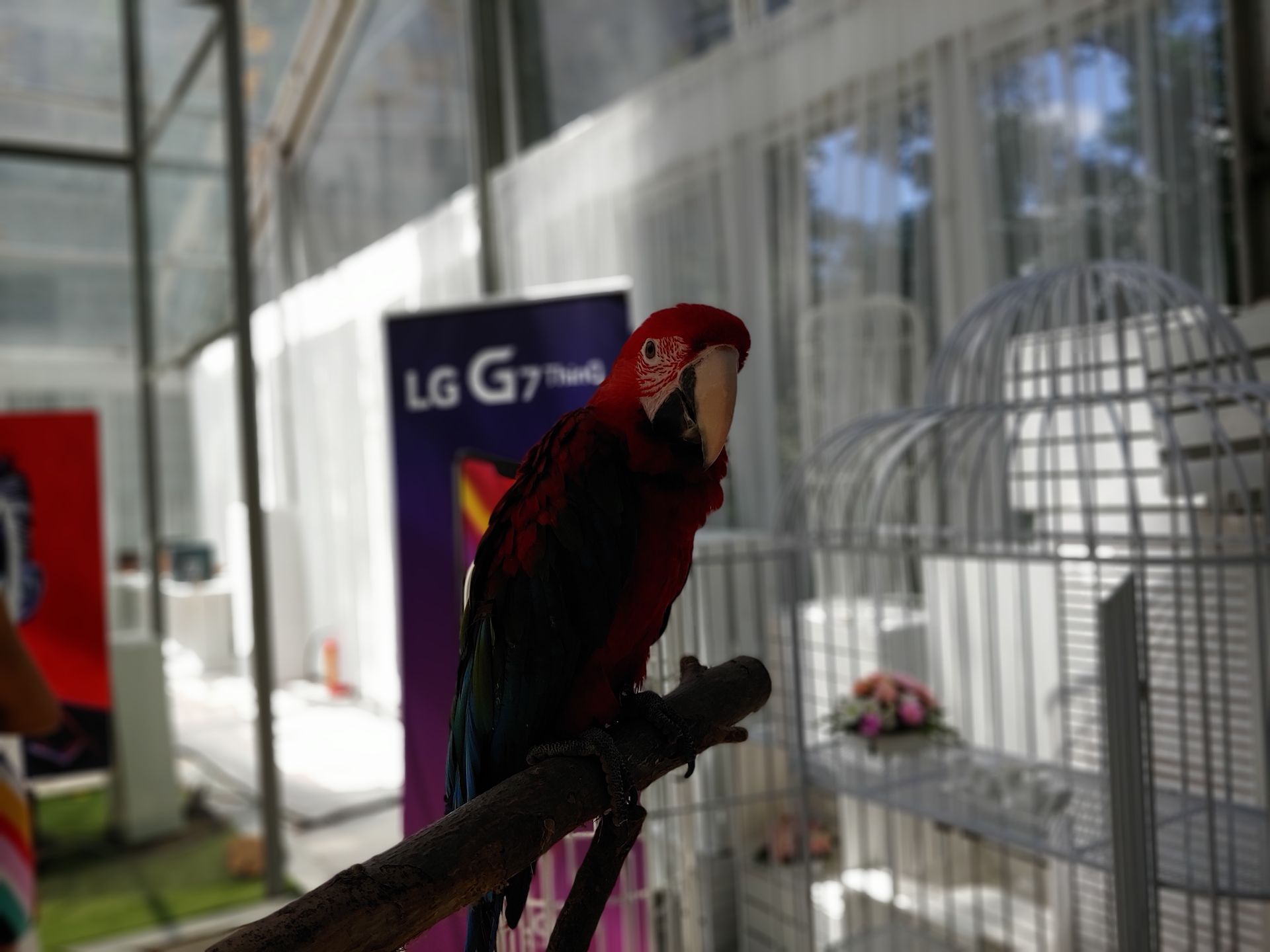 LG G7 ThinQ - pierwsze wrażenia i zdjęcia z aparatu 38