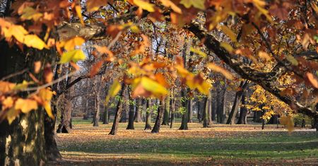 Jaki będzie listopad? IMGW podaje konkretne temperatury