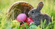 Symbole Wielkanocy. Wstyd nie mieć kompletu punktów