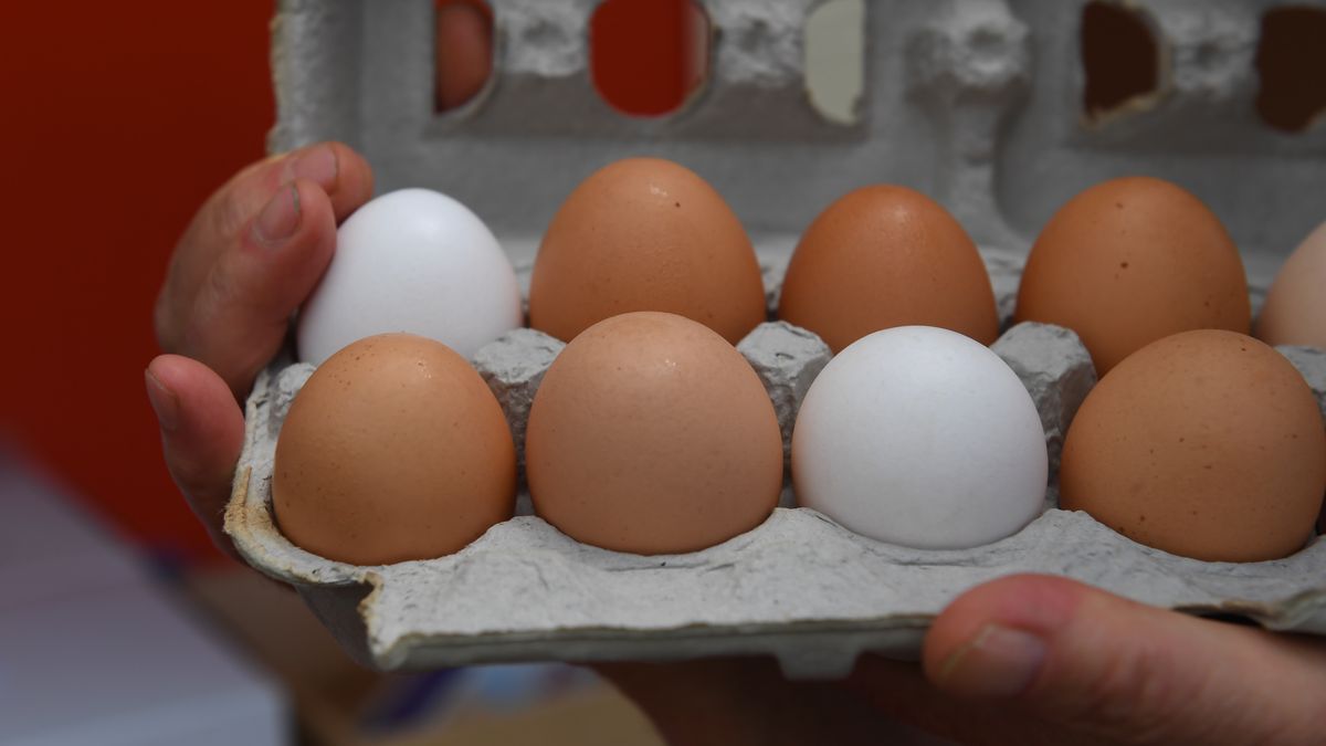 Dania z jajek są smaczne i pożywne