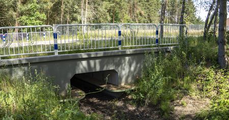 W Pile powstało nietypowe przejście dla zwierząt. Znajduje się na Motylewie