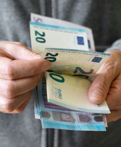 20 tysięcy euro spłonęło w kominku. Fatalna pomyłka włoskiej rodziny