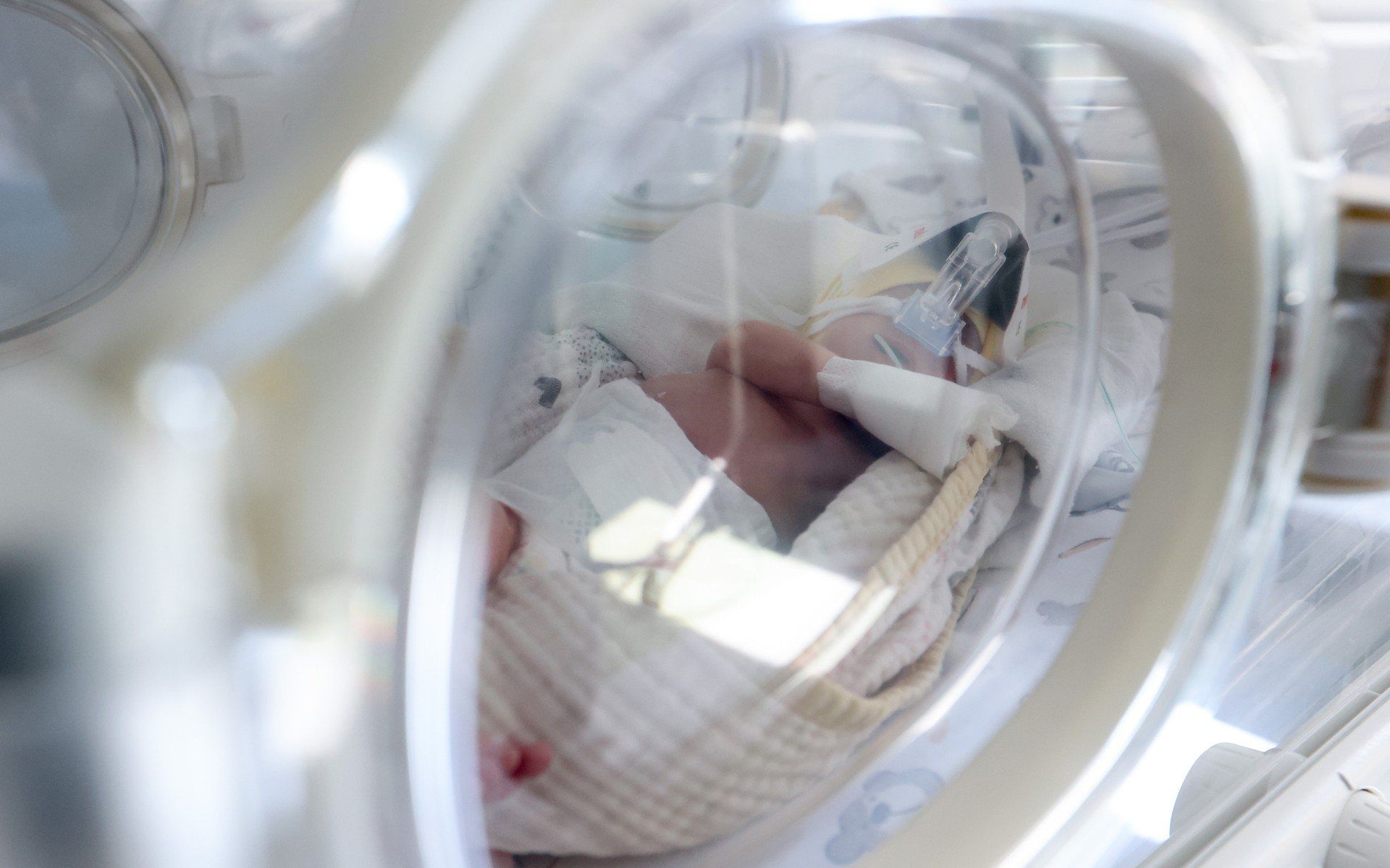 W Klinicznym Szpitalu Wojewódzkim nr 2 w Rzeszowie przyszły na świat niezwykłe trojaczki – Staś, Ignaś i Jaś