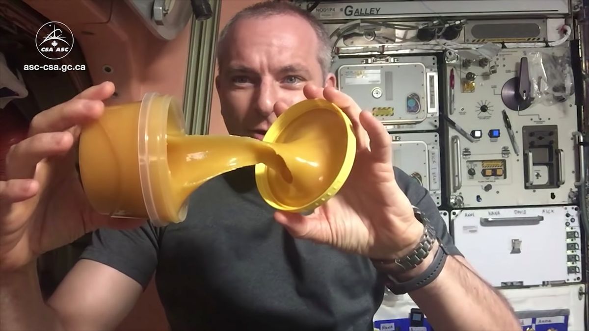 Miód w kosmosie zachowuje się… nieziemsko! 1