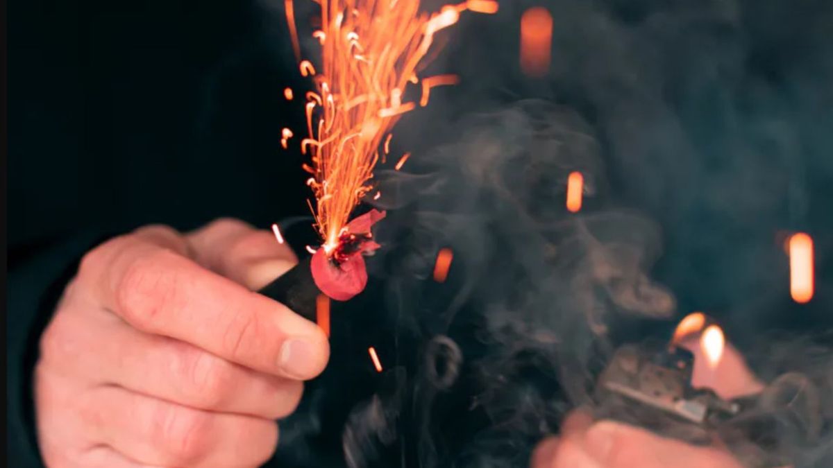 Apel o ograniczenie fajerwerków w trosce o zwierzęta
