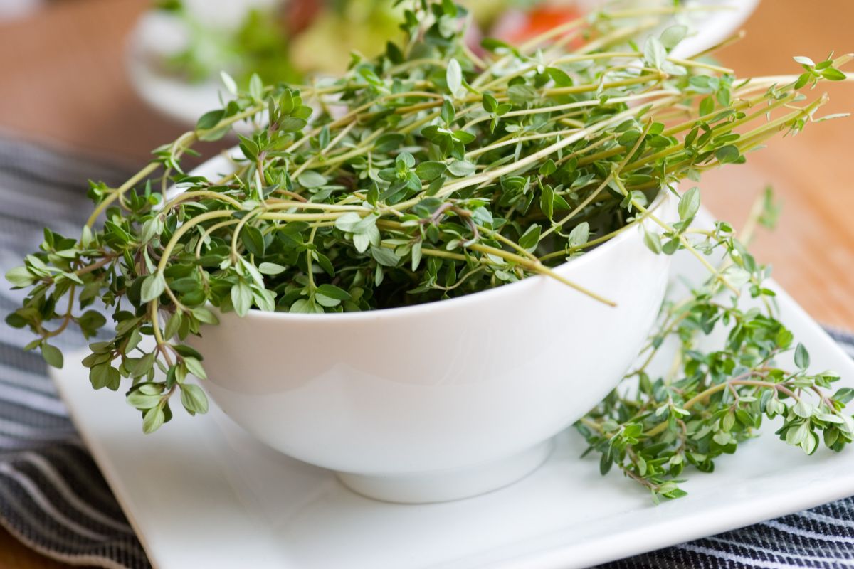 Thyme may help with many health problems.