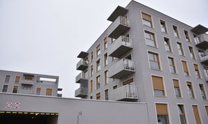 "Odrobiły część strat". Jedna grupa zyskała na rynku mieszkaniowym