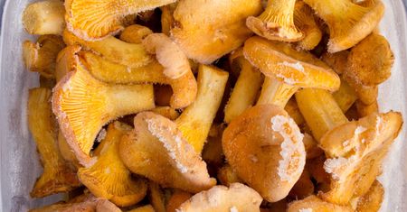 Kurki mrożę tylko w ten sposób. Po przygotowaniu smakują jak świeże i nie są gorzkie