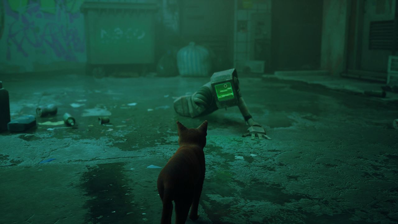 Stray