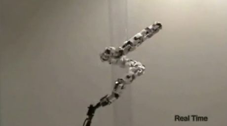 Robo-wąż w akcji (wideo)