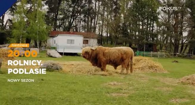 TOP 10 kanałów dokumentalnych. Na czele Fokus TV, mocno w dół TVP Nauka