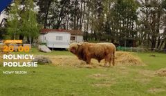 TOP 10 kanałów dokumentalnych. Na czele Fokus TV, mocno w dół TVP Nauka