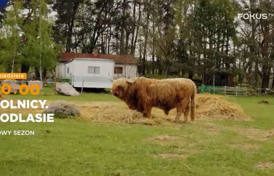 TOP 10 kanałów dokumentalnych. Na czele Fokus TV, mocno w dół TVP Nauka