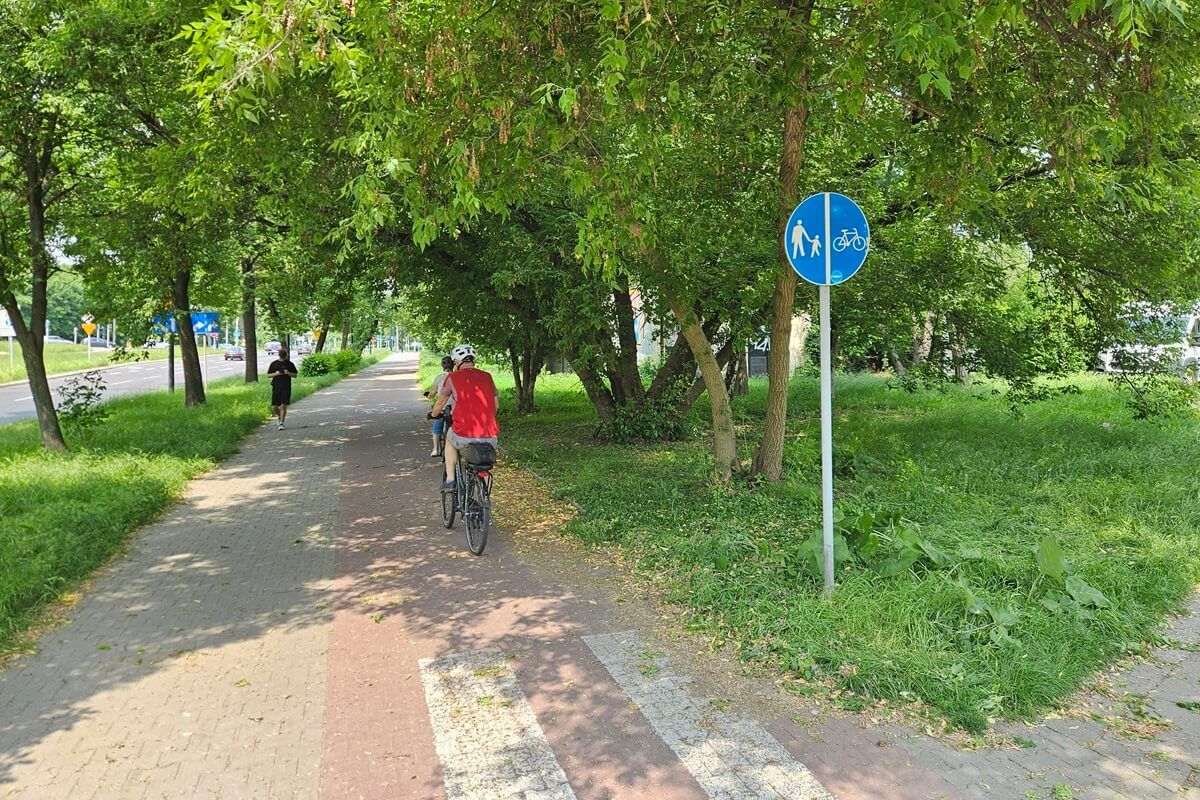 Przycięte gałęzie nad ścieżką rowerową na al. Andersa po naszej interwencji