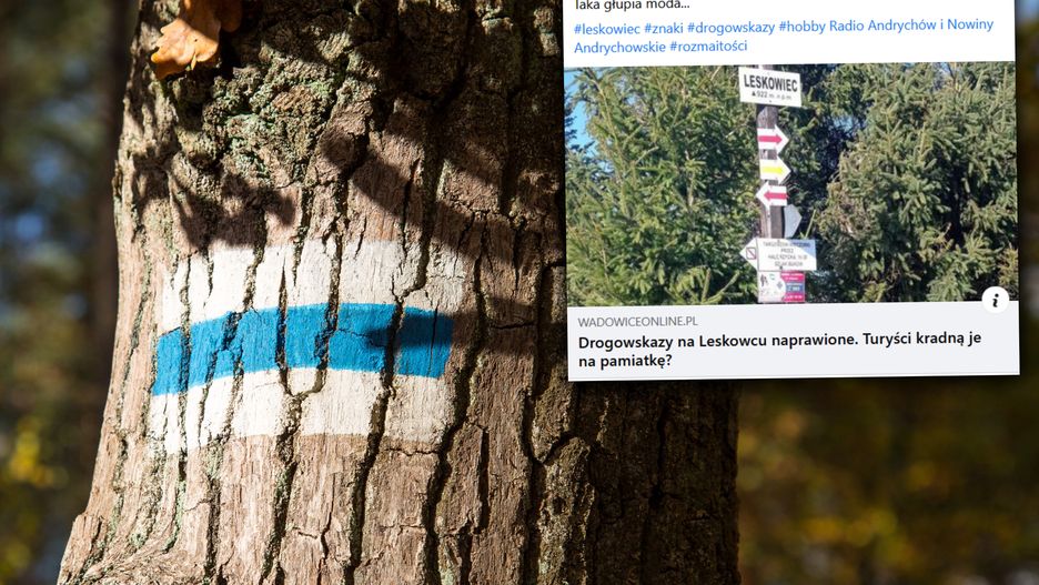 Trudno uwierzyć, co kradną turyści 