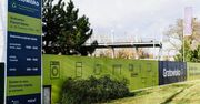 Wiosna na Gratowisku. Kwiatowy prezent dla mieszkańców Poznania