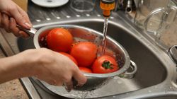 Jak można zarazić się cholerą w Polsce? Niebezpieczny jest okres upałów i powodzi