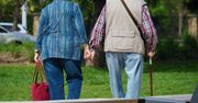 Takie emerytury ZUS wypłaci seniorom w czerwcu. Oto tabela netto wyliczeń i harmonogram