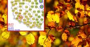 Wolny weekend? Może być ostatnim z tak słoneczną pogodą