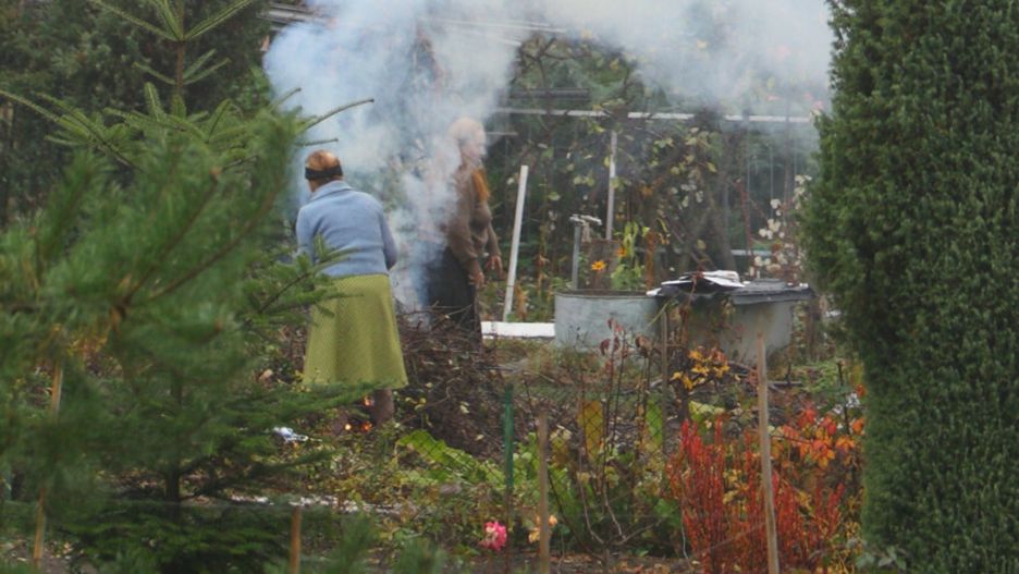 Spalanie liści czy innych "resztek roślinnych" na działce ROD jest zabronione