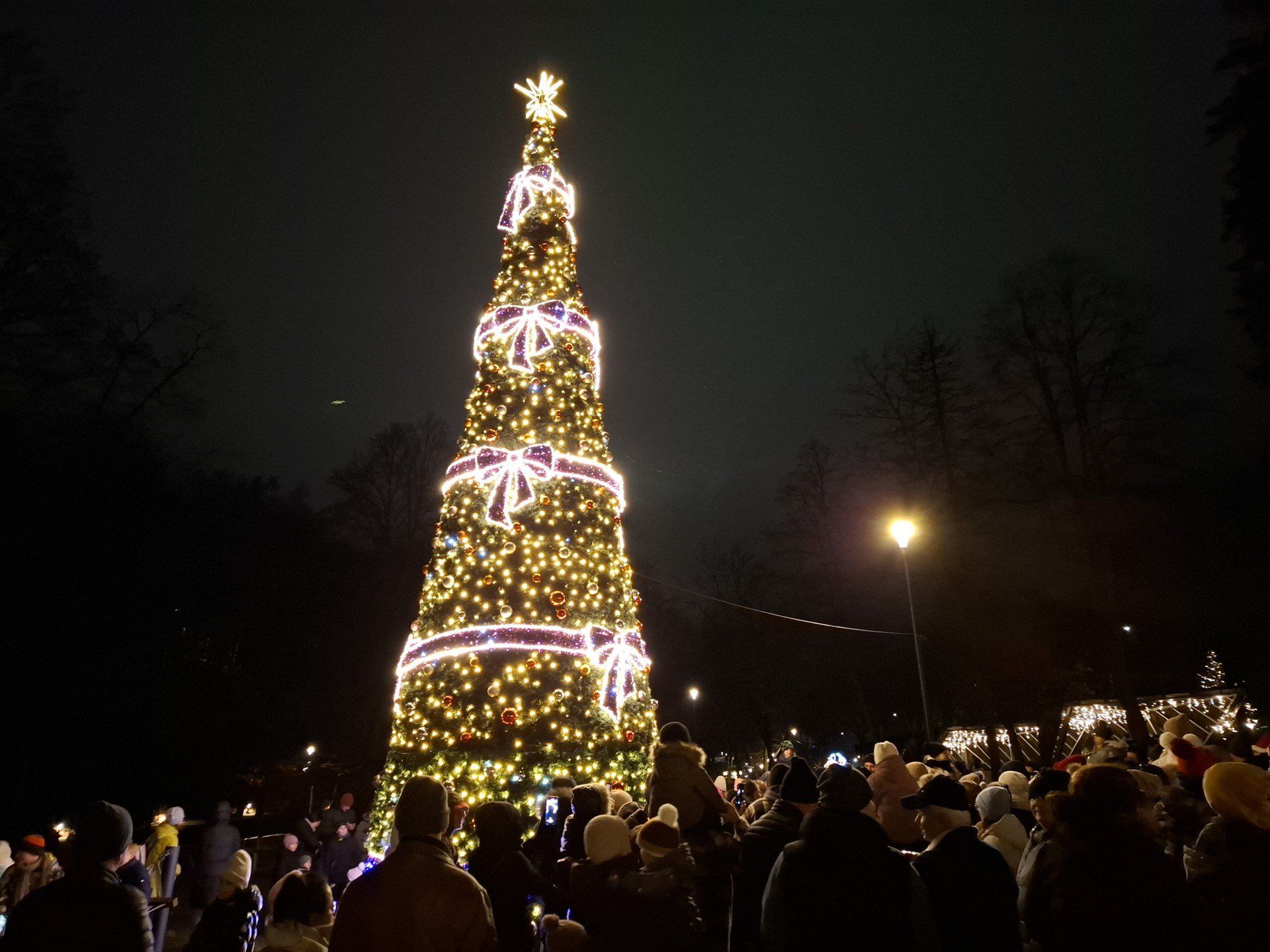W Parku Miejskim w Starachowicach oficjalnie rozświetlono miejską choinkę. 