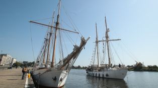 Szczecin: Miasto wita kolejne jednostki, które przypłynęły na Żagle 2025