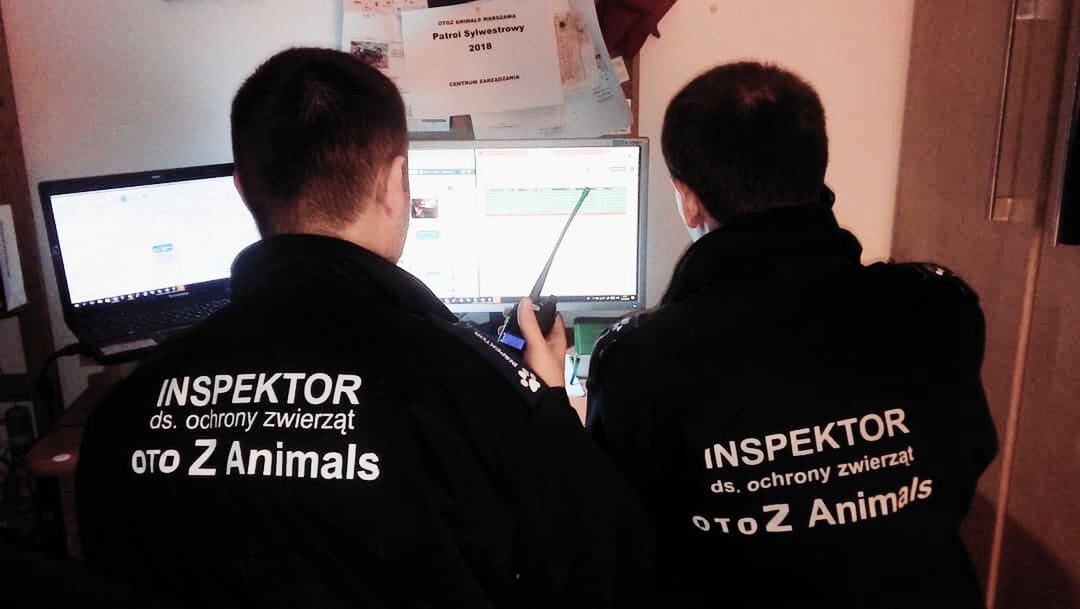 Sylwestrowy Patrol Animalsów ruszy na pomoczwierzętom, dla których ta noc jest koszmarem
