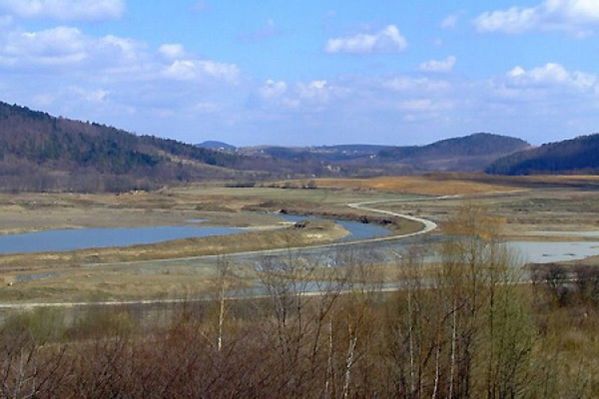 Obraz
