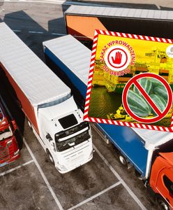 Służby zablokowały wjazd 2 ton żywności z Chin. Oto co wykryły