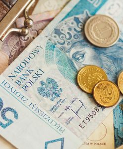 Polacy zarabiają tu lepiej niż na lokacie. Tyle uzbierał rekordzista